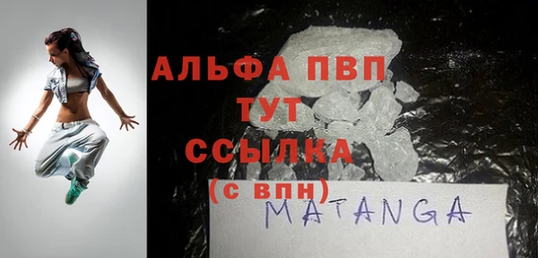 индика Гусев