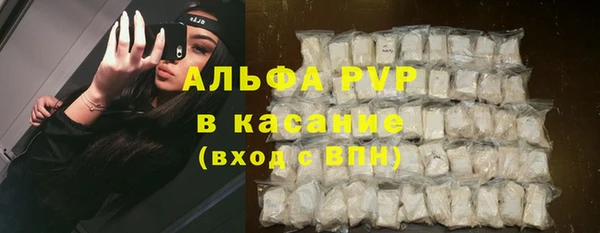 индика Гусев