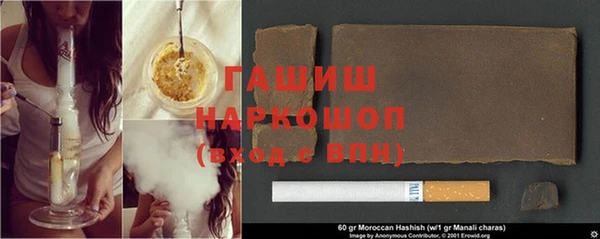 индика Гусев