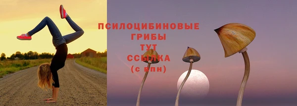 марихуана Дмитриев