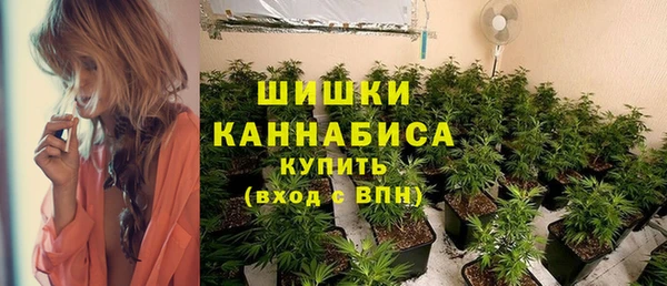 крисы Гусиноозёрск
