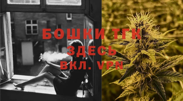 индика Гусев