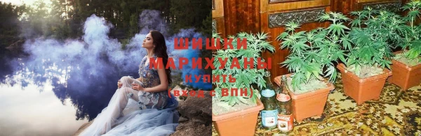 крисы Гусиноозёрск