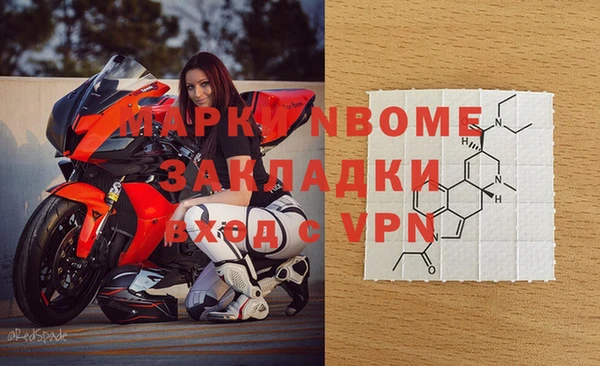 индика Гусев