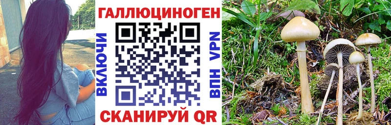 Псилоцибиновые грибы Cubensis  Купить где  Асбест 